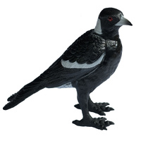 Science & Nature - Magpie