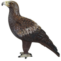 Science & Nature - Wedge-tailed Eagle