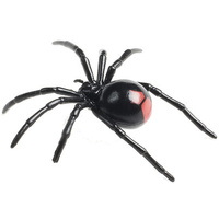 Science & Nature - Redback Spider