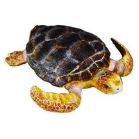 Collecta - Loggerhead Turtle 88094