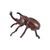 Collecta - Rhinoceros Beetle 88337