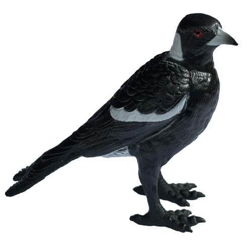 Science & Nature - Magpie