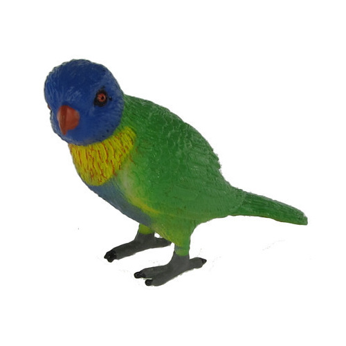 Science & Nature - Rainbow Lorikeet
