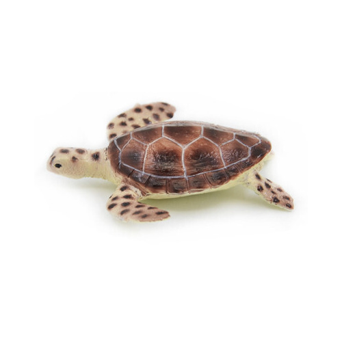 Science & Nature - Green Turtle