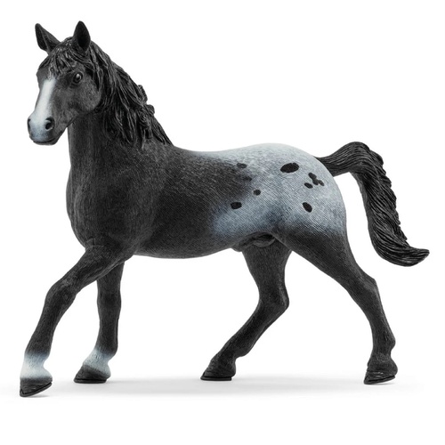 Schleich - Knabstrupper Stallion 72197