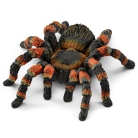 Spiders & Insects